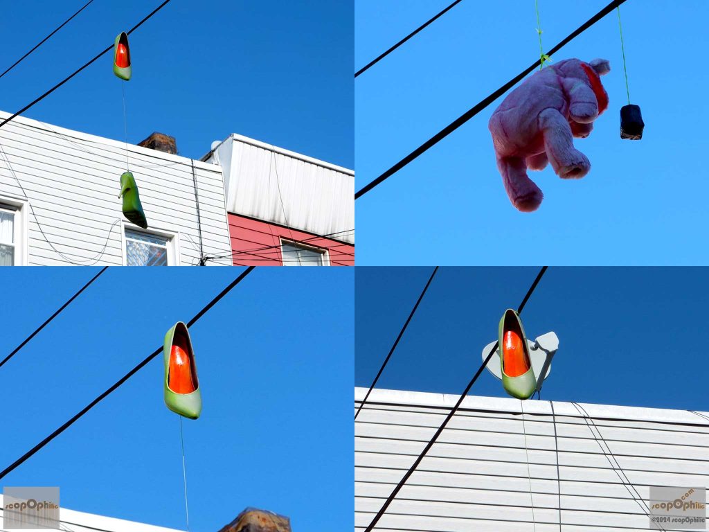 scopOphilc_micromessaging_1160